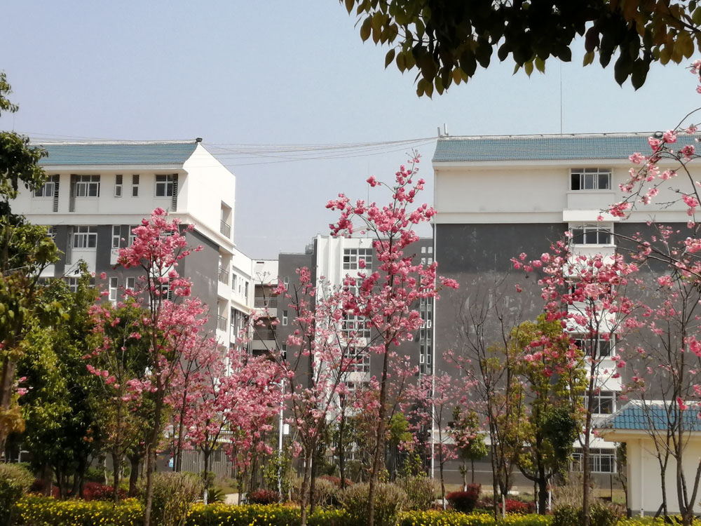 保山中等專業(yè)學(xué)校新校區(qū)(保山高級技工學(xué)校）